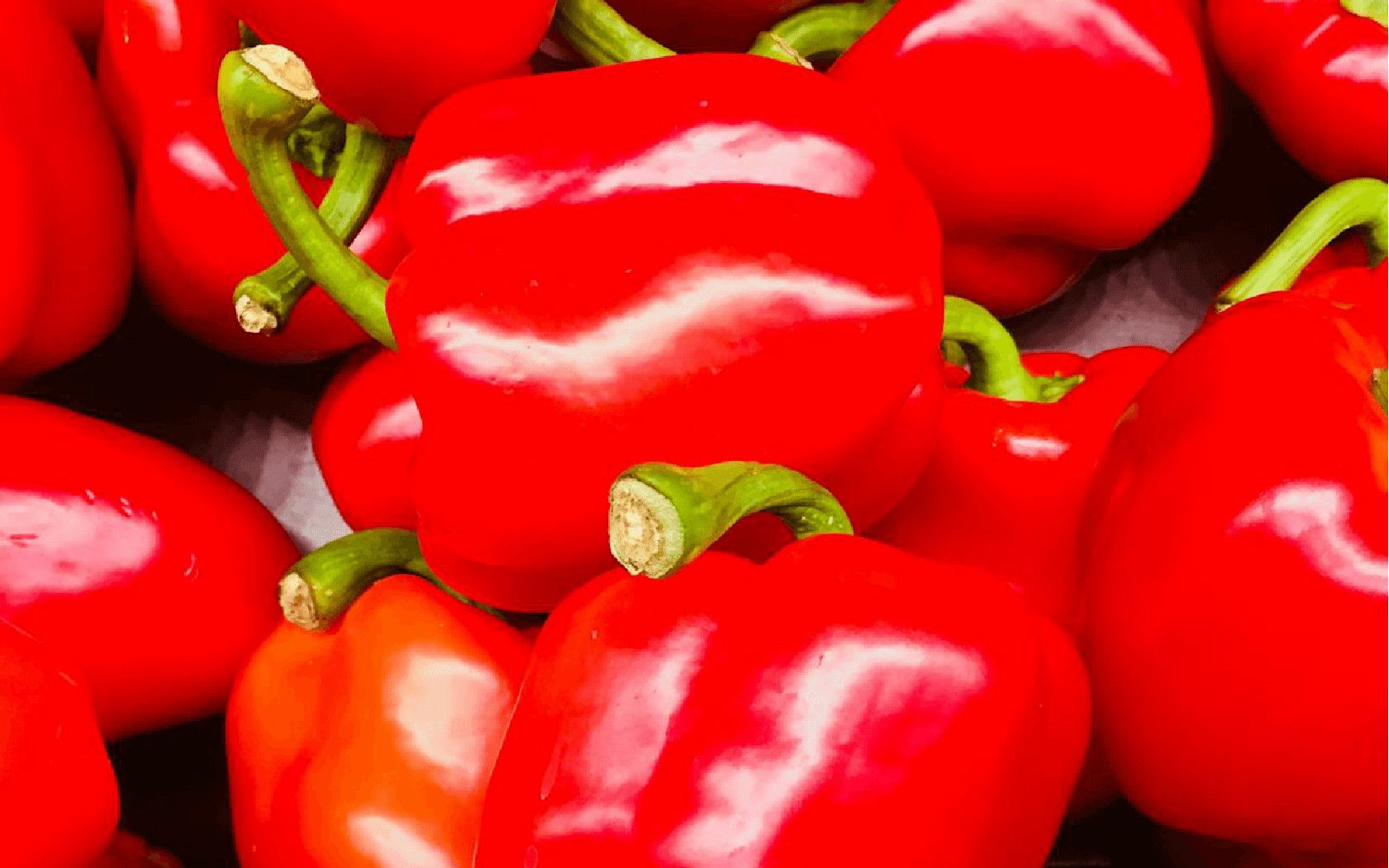 Top 9 Water-Rich Vegetables in UAE Markets-  Bell Peppers